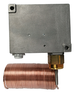 Protezione antigelo Siemens QAF 81.6 (QAF81.6)