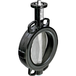 Valvola a farfalla wafer per acqua Belimo D6200W