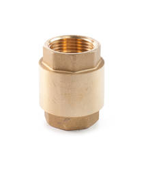 Valvola di ritegno EURA 2", PN10