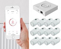 Danfoss Ally Starter Pack 12