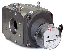 Contatore del gas a pistone rotante Honeywell Rabo G250, DN 100 (405025010016/160)